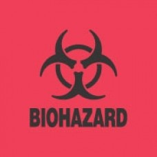 Biohazard 4X4 (C)